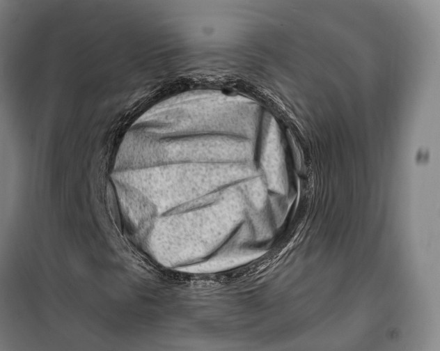 X0000099581297200806061617