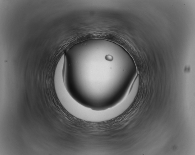 X0000099581298200806061617