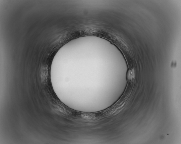 X0000099581299200806061617