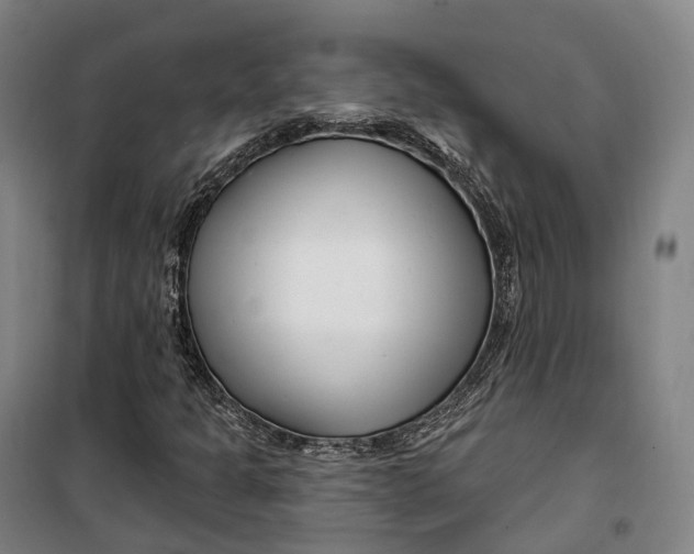 X0000099581301200806061617