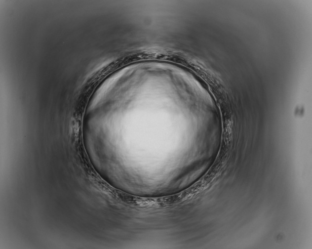 X0000099581302200806061617