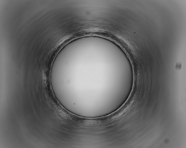 X0000099581305200806061617