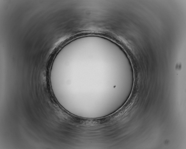 X0000099581307200806061617