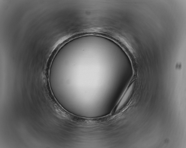 X0000099581308200806061617