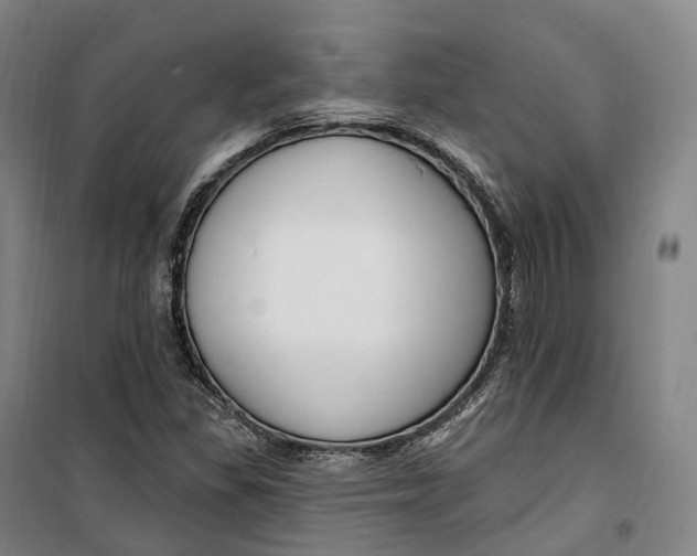 X0000099581309200806061617