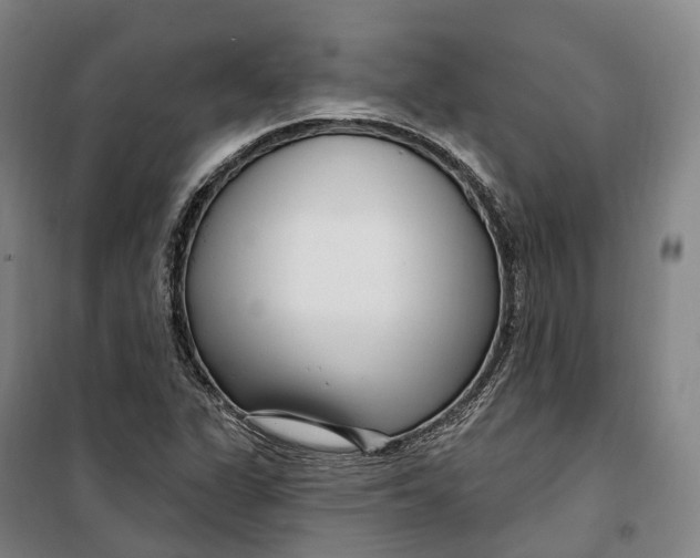 X0000099581311200806061617