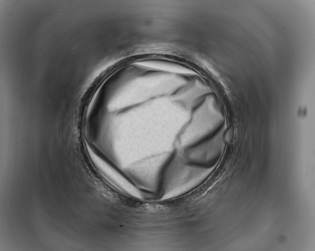 X0000099581312200806061617