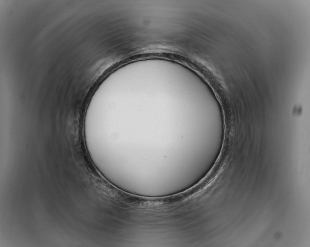 X0000099581313200806061617