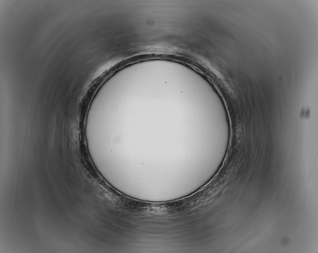 X0000099581315200806061617