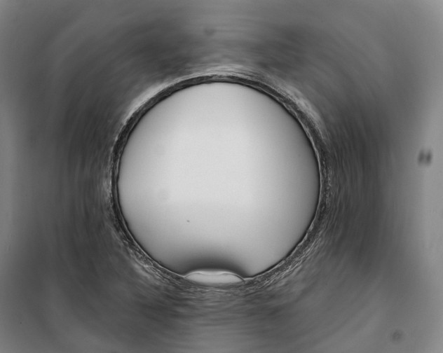 X0000099581316200806061617