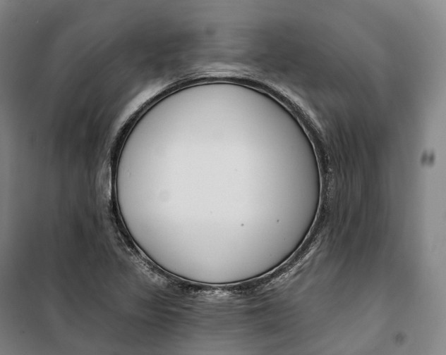 X0000099581317200806061617