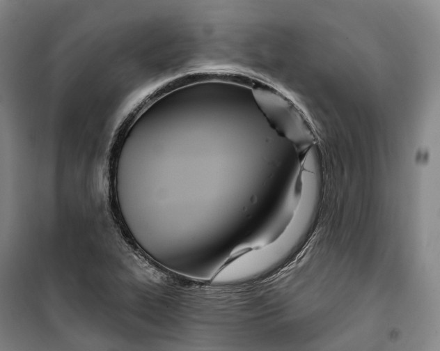 X0000099581319200806061617