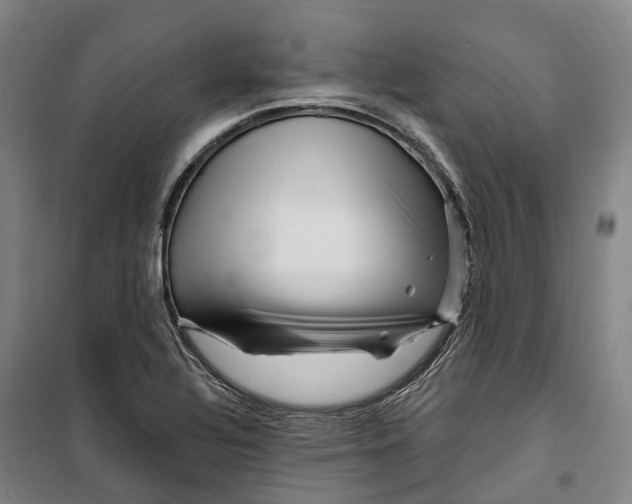 X0000099581320200806061617