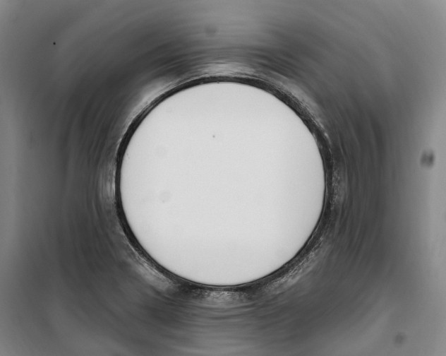 X0000099581322200806061618