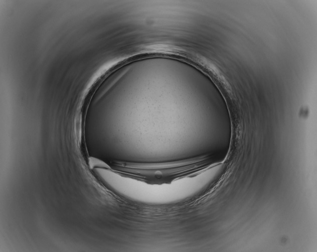 X0000099581323200806061618