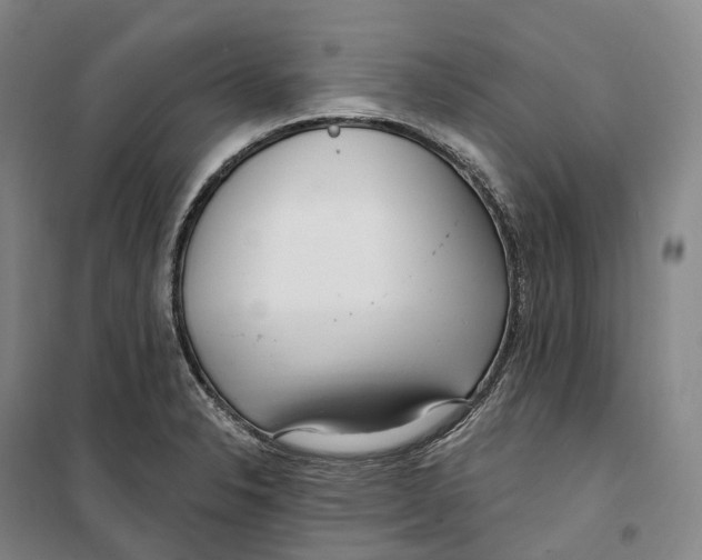 X0000099581326200806061618