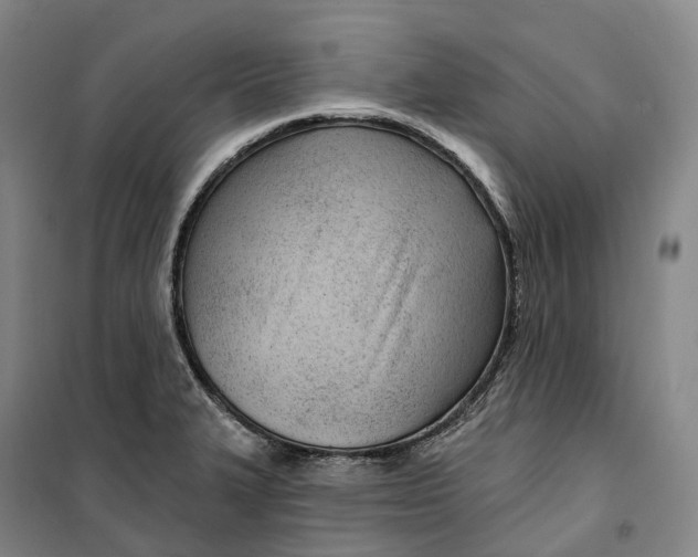 X0000099581327200806061618