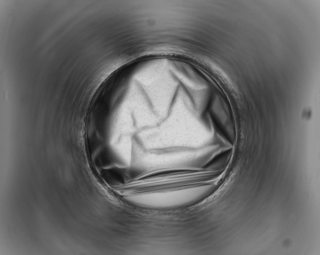 X0000099581329200806061618