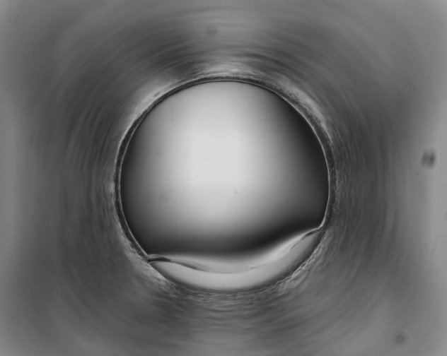 X0000099581330200806061618