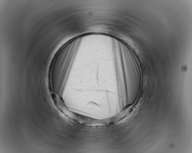 X0000099581331200806061618