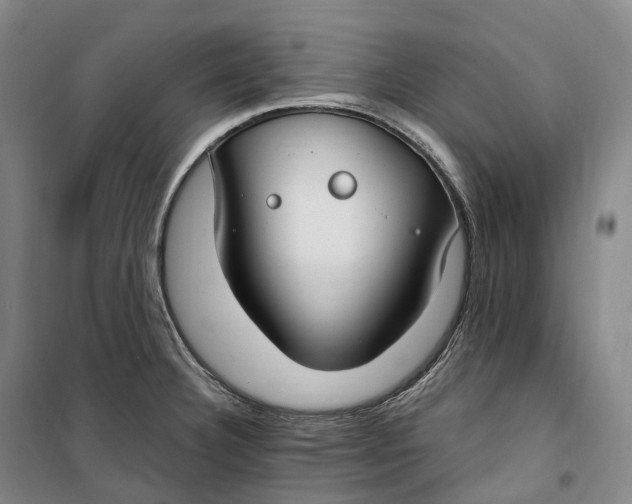 X0000099581332200806061618