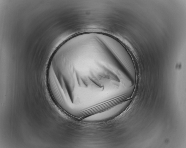 X0000099581333200806061618