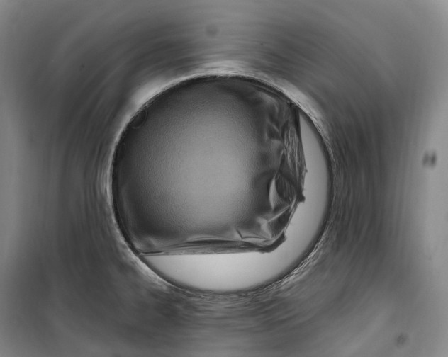 X0000099581334200806061618