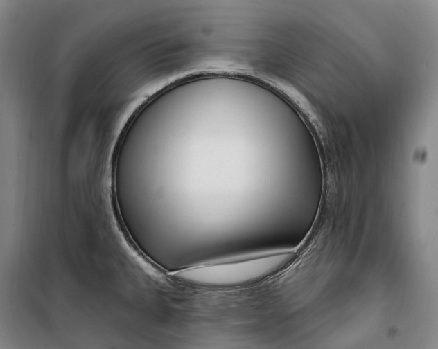 X0000099581335200806061618