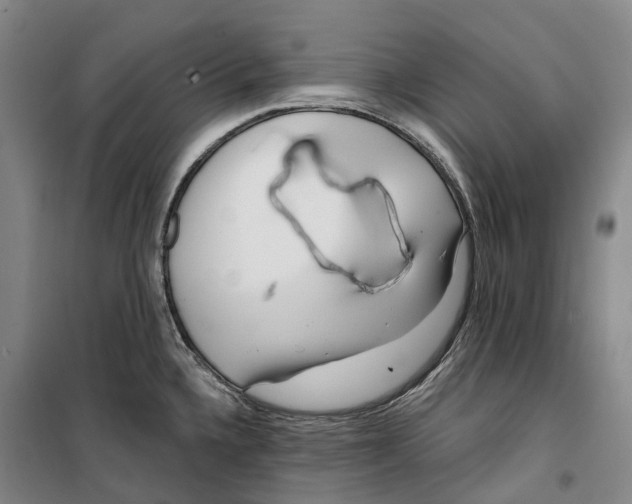 X0000099581336200806061618