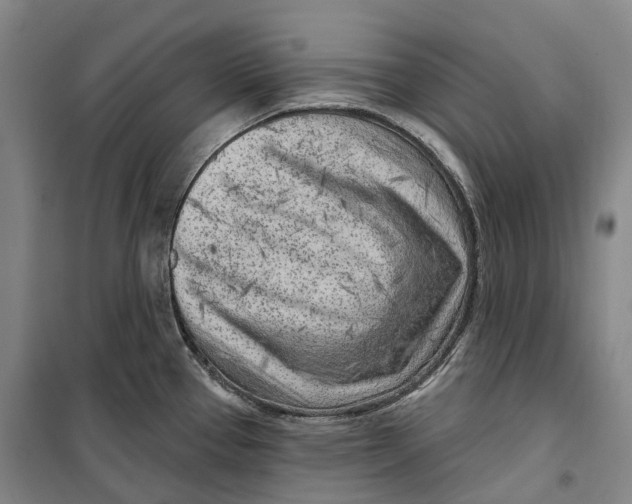 X0000099581337200806061618