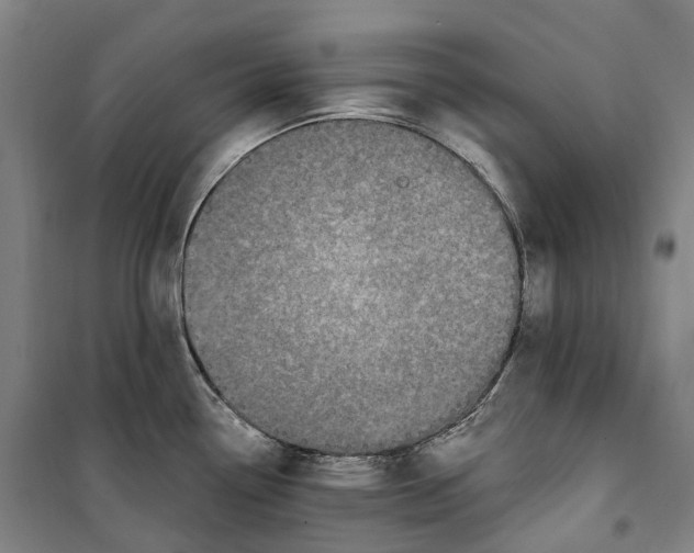 X0000099581338200806061618