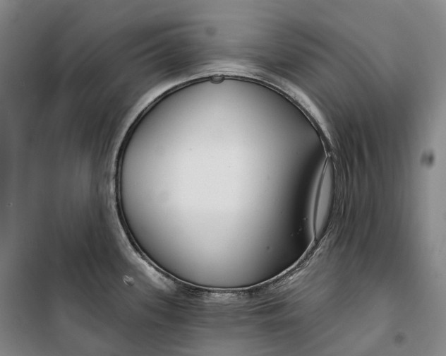 X0000099581339200806061618