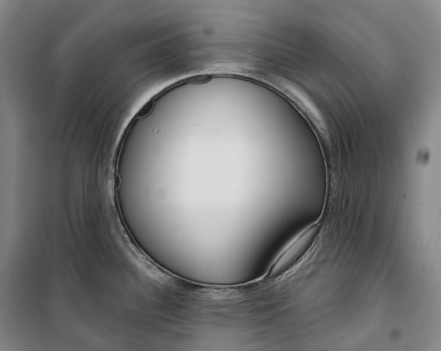 X0000099581340200806061618