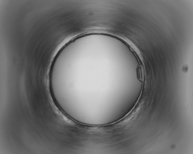 X0000099581341200806061618