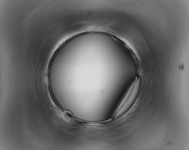 X0000099581342200806061618