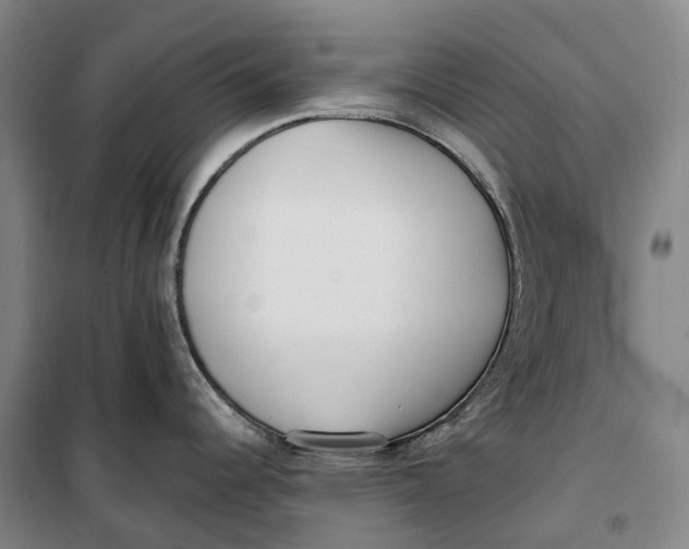 X0000099581344200806061618