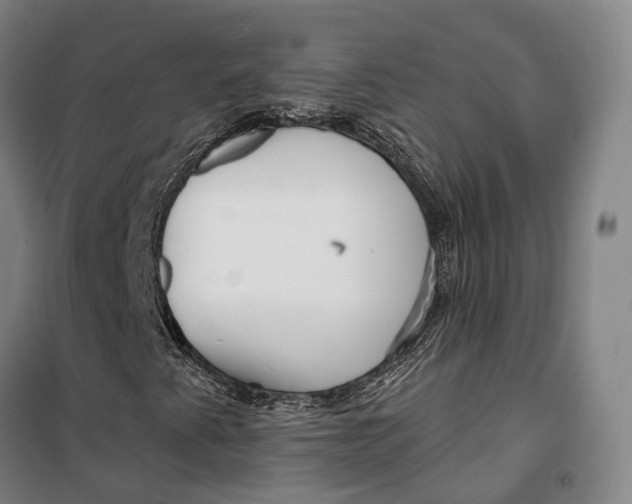 X0000099581345200806061617