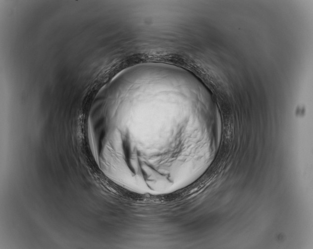 X0000099581346200806061617