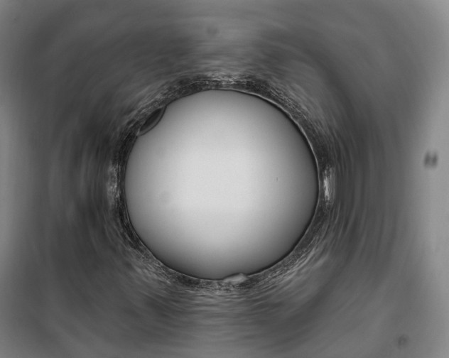 X0000099581347200806061617