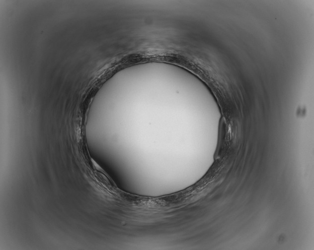 X0000099581348200806061617