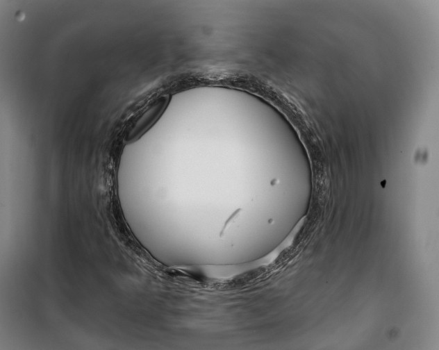 X0000099581349200806061617