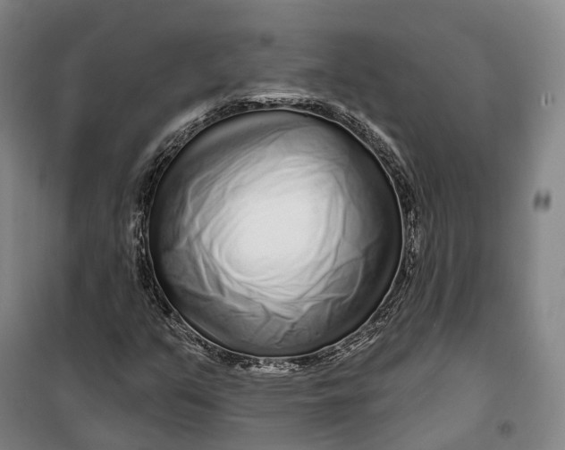 X0000099581351200806061617