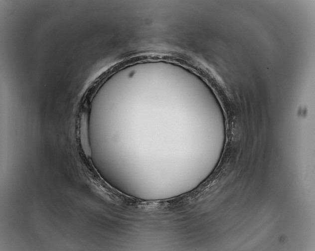 X0000099581352200806061617