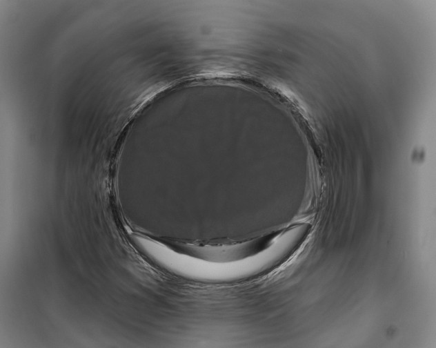 X0000099581353200806061617