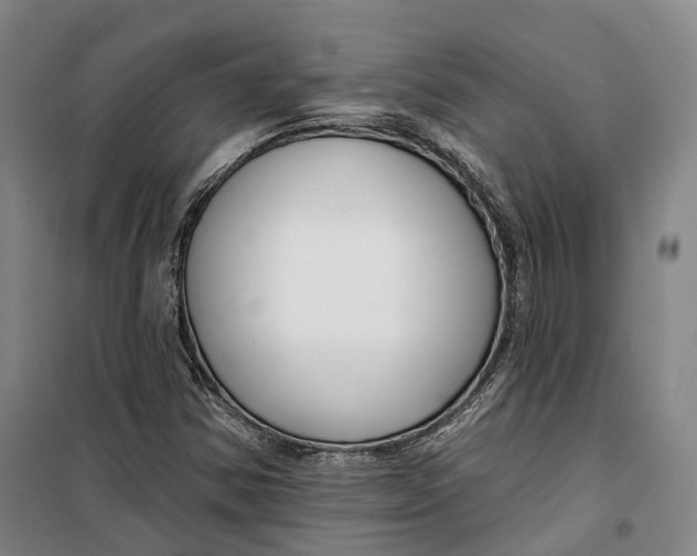 X0000099581354200806061617