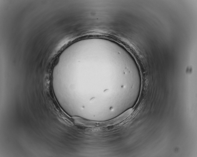 X0000099581355200806061617