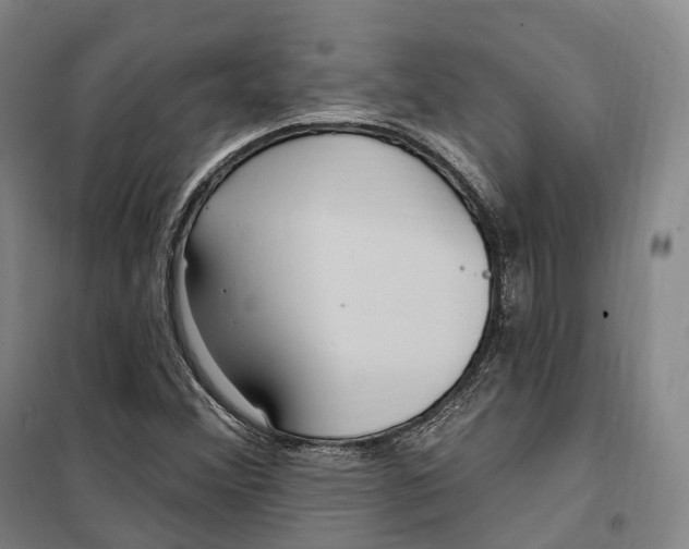 X0000099581356200806061617