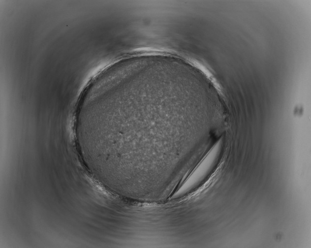 X0000099581357200806061617