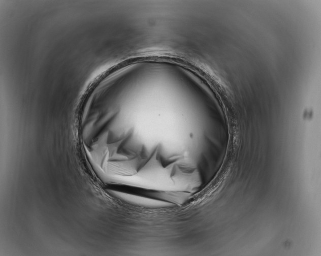 X0000099581358200806061617