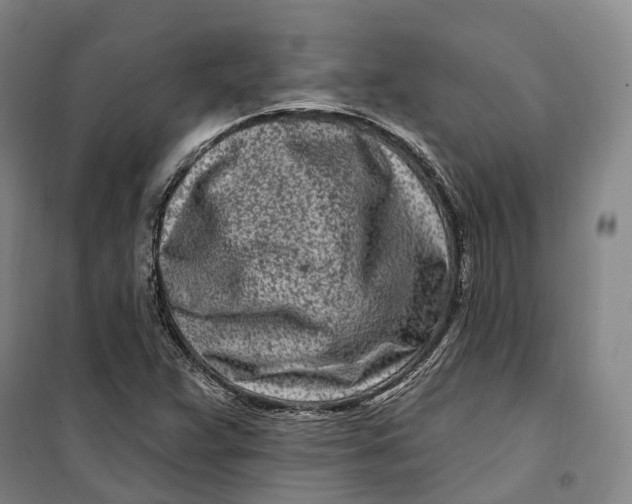 X0000099581359200806061617